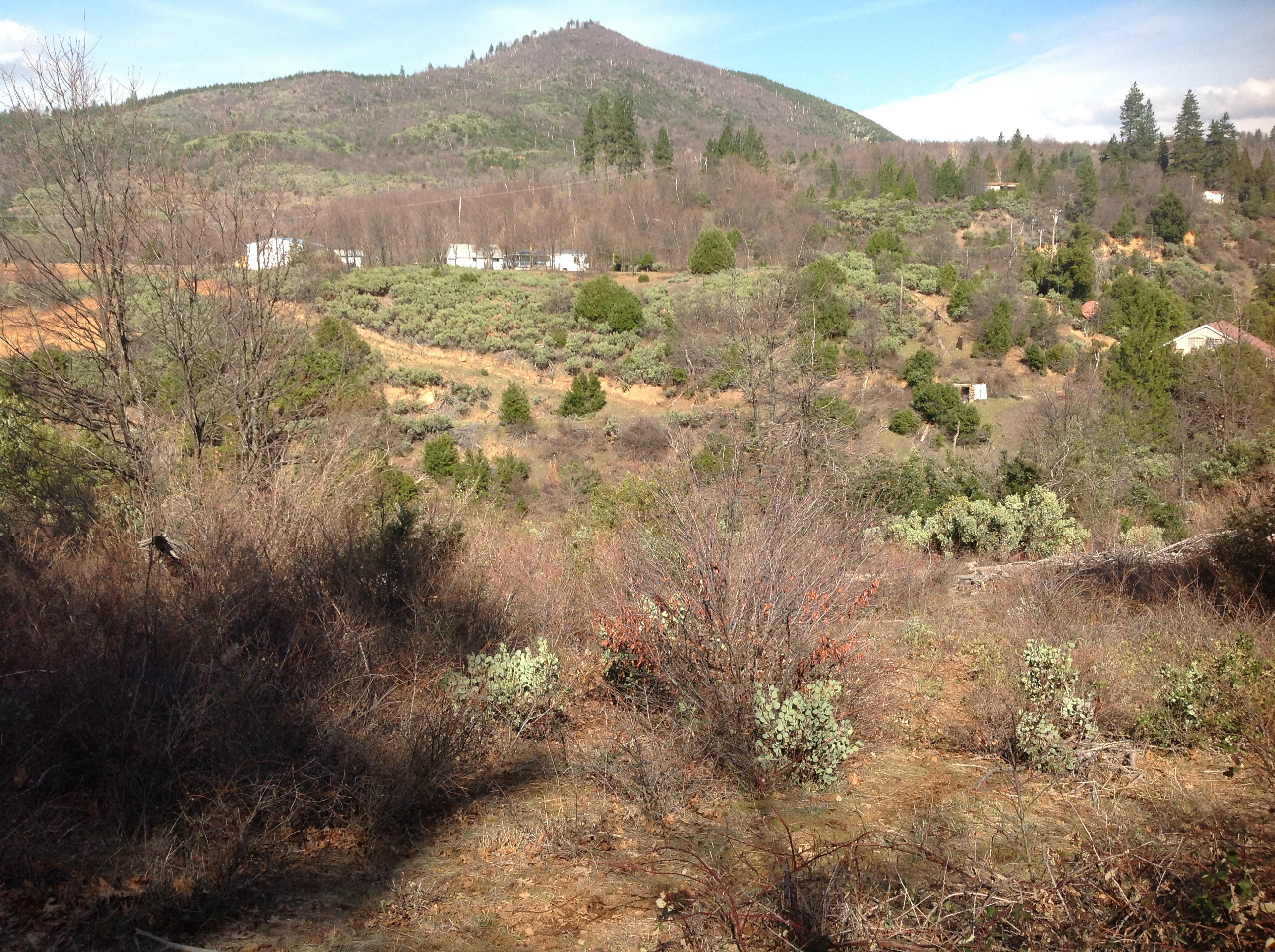 29204 Park Road Bella Vista, CA 96008 - Photo 24 of 41 a view of lake with mountain