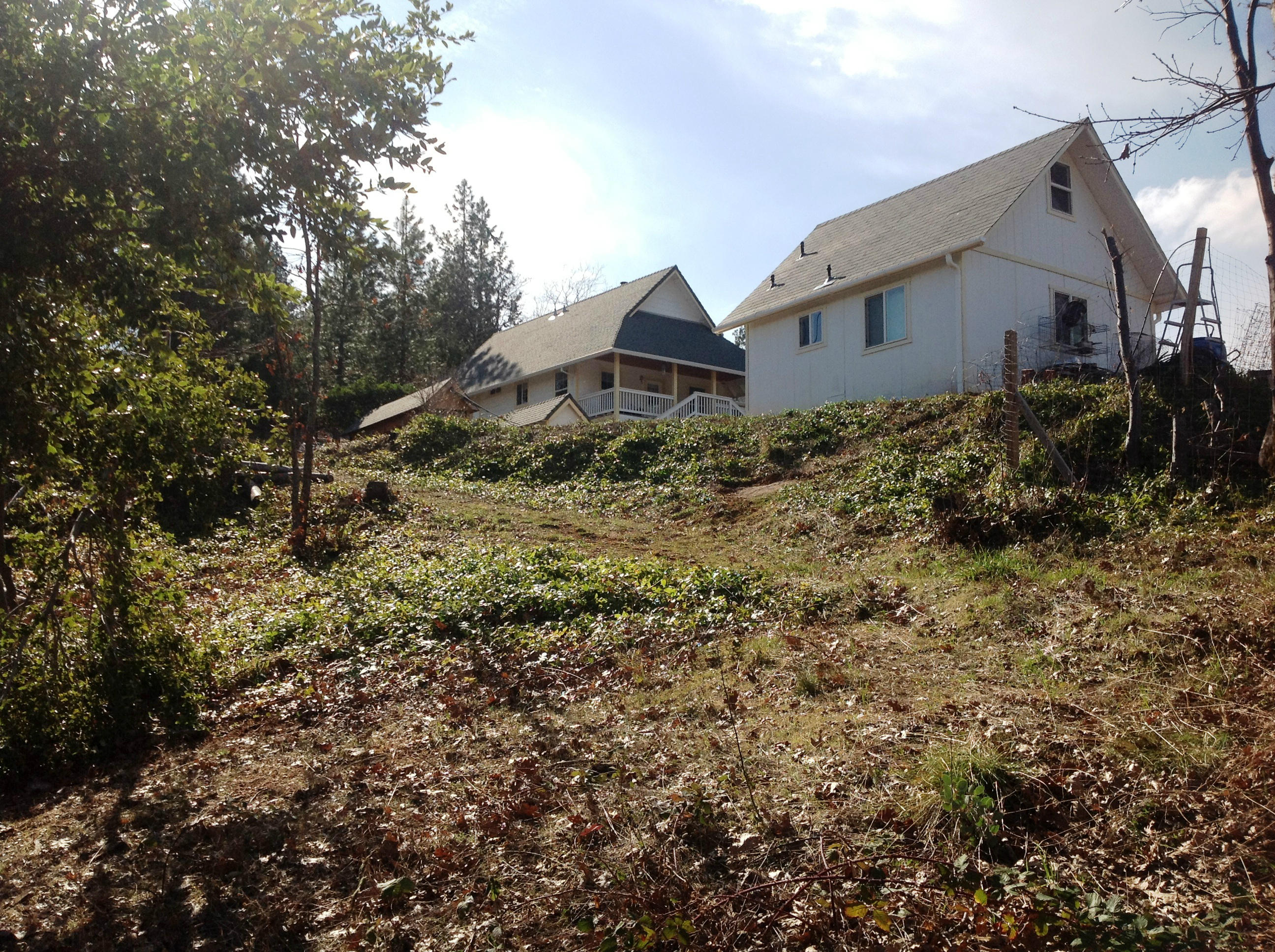 29204 Park Road Bella Vista, CA 96008 - Photo 3 of 41 a house view with a backyard space