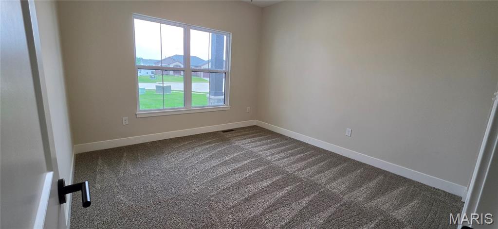 1438 Montauk Road Troy, IL 62294 - Photo 44 of 98