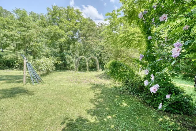 a view of yard with green space