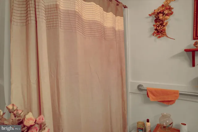 a bathroom with a shower curtain and a curtain
