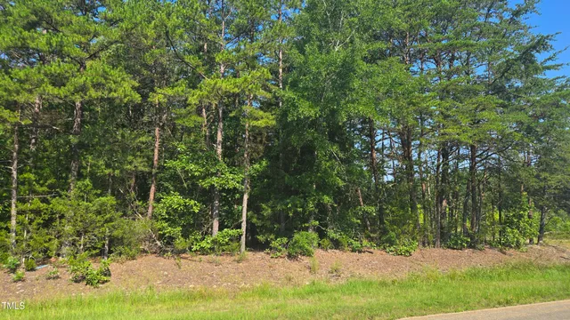 $237,600 | 0 Robert Morgan Road, Bullock, NC 27507