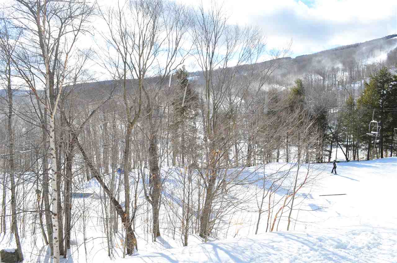 81 White Loop, Unit F203 Ludlow, VT 05149 - Photo 37 of 40 Gallery Image 37