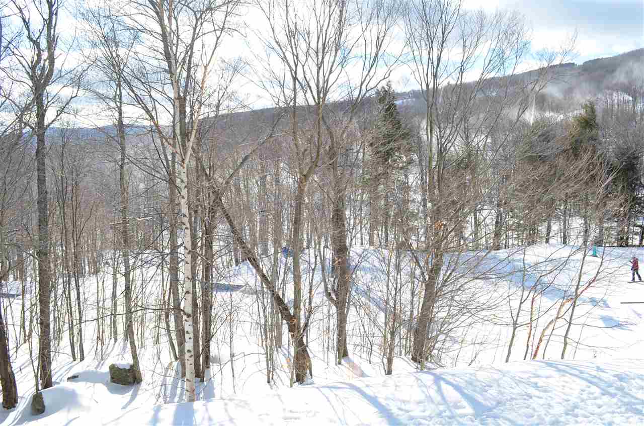 81 White Loop, Unit F203 Ludlow, VT 05149 - Photo 38 of 40 Gallery Image 38