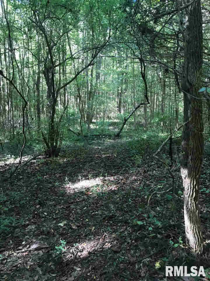 Lot 3 Logan Run Road Murphysboro, IL 62966 - Photo 5 of 6
