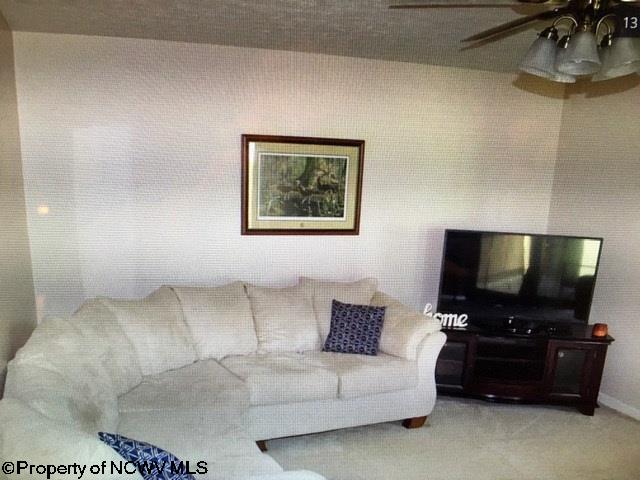 185 Curry Ridge Road Napier, WV 26631 - Photo 8 of 14 Gallery Image 8