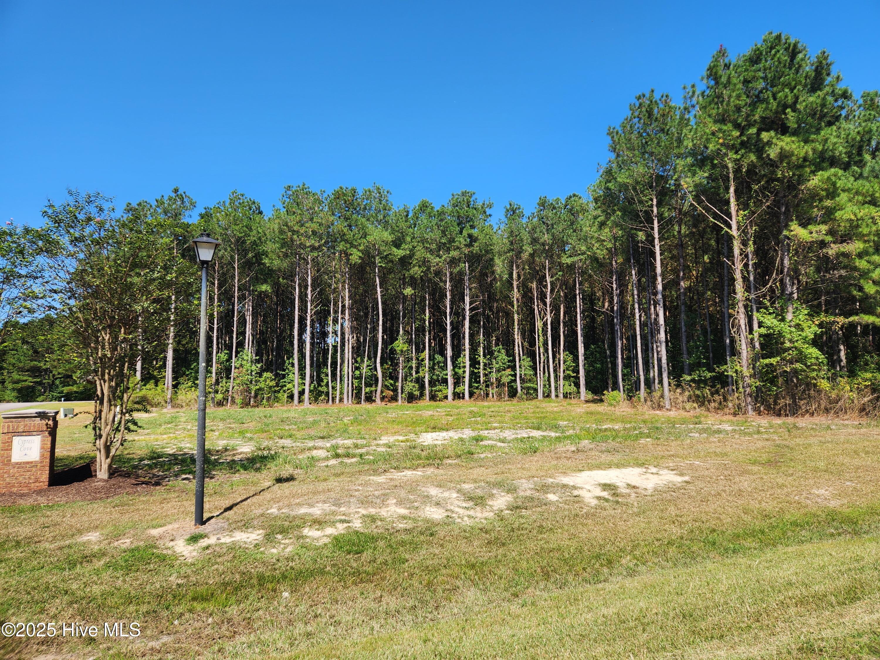 273 Riversound Drive Edenton, NC 27932 - Photo 11 of 15 Lot 186