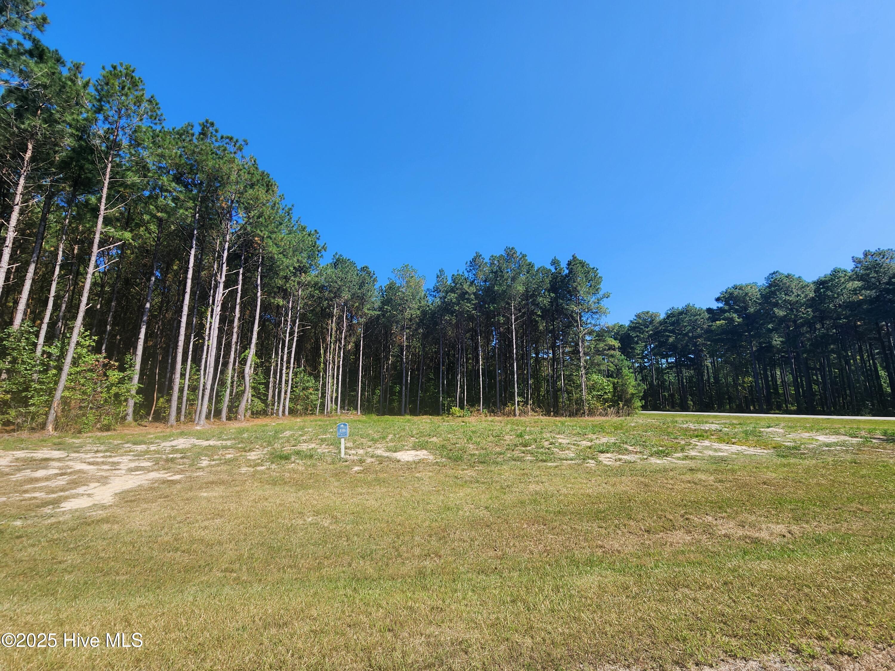 273 Riversound Drive Edenton, NC 27932 - Photo 4 of 15 1000028666