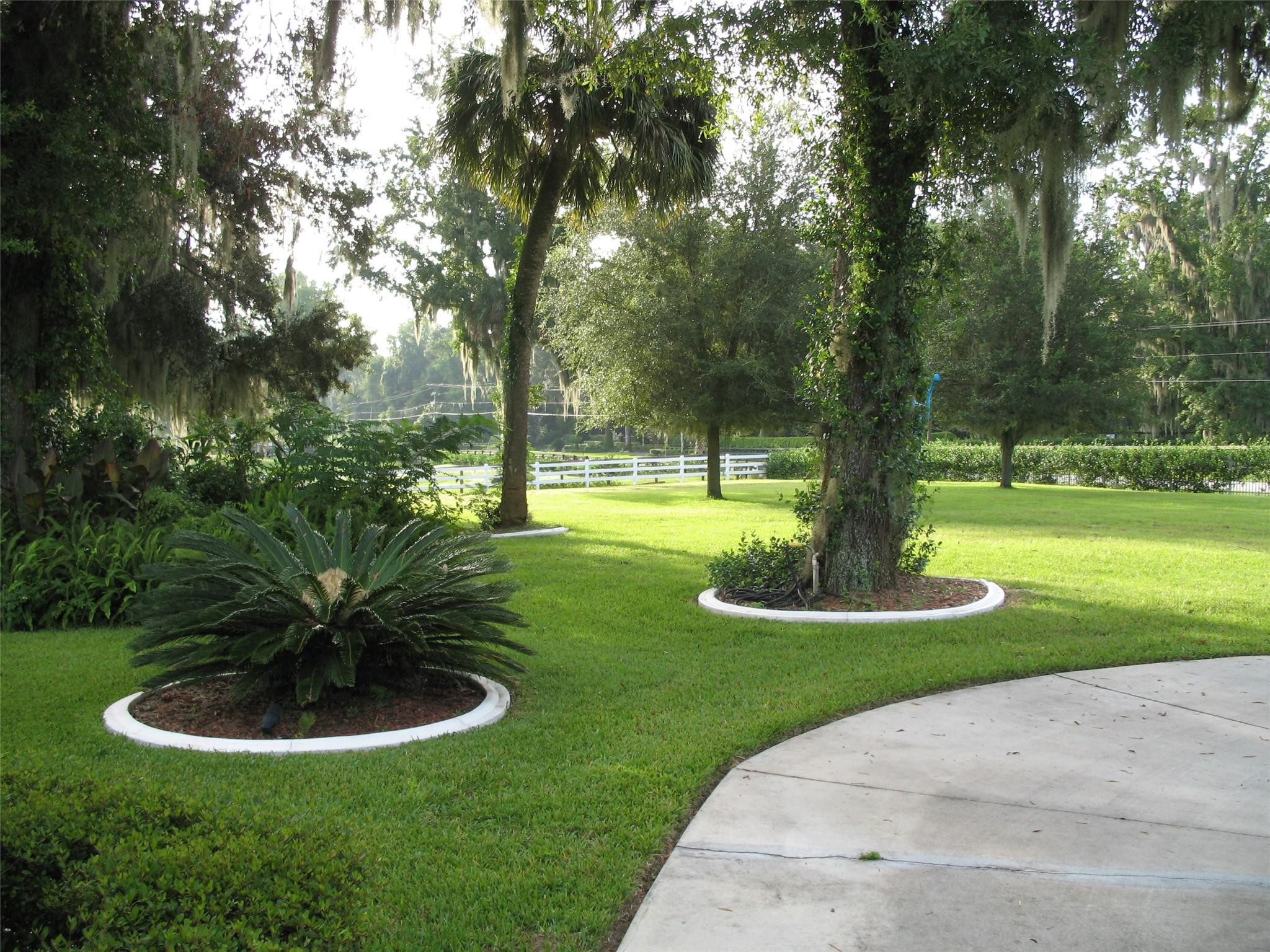 555 Southwest 87th Place Ocala, FL 34476 - Photo 11 of 45 Photo 11