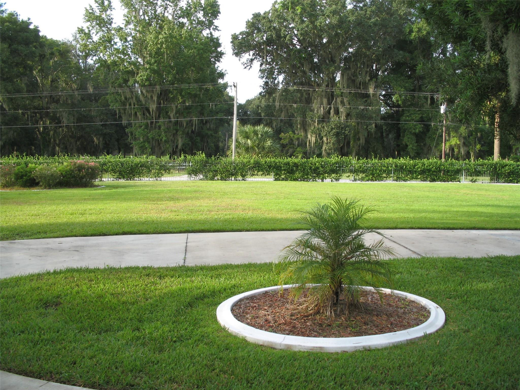 555 Southwest 87th Place Ocala, FL 34476 - Photo 12 of 45 Photo 12