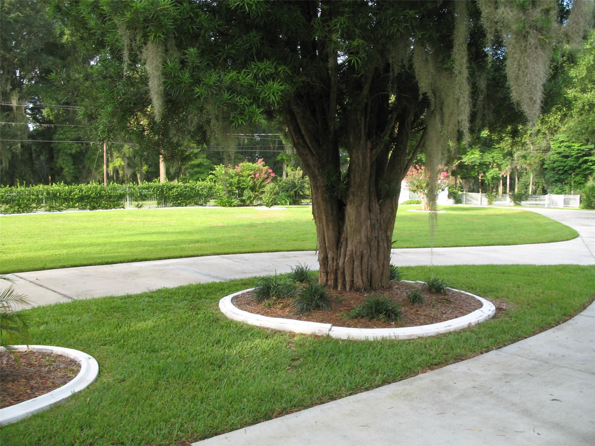 555 Southwest 87th Place Ocala, FL 34476 - Photo 13 of 45 Photo 13