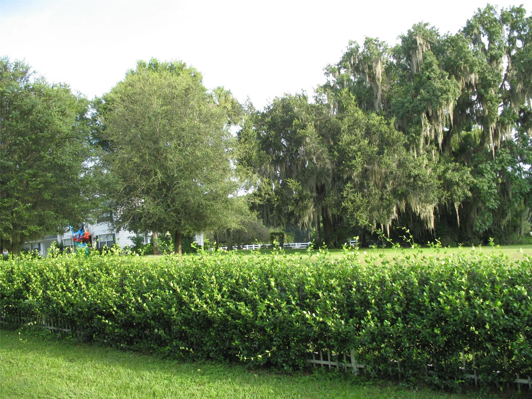 555 Southwest 87th Place Ocala, FL 34476 - Photo 32 of 45 Photo 32