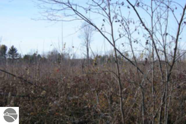 N/a Mackinaw Road Turner, MI 48765 - Photo 1 of 1 1762441.JPG