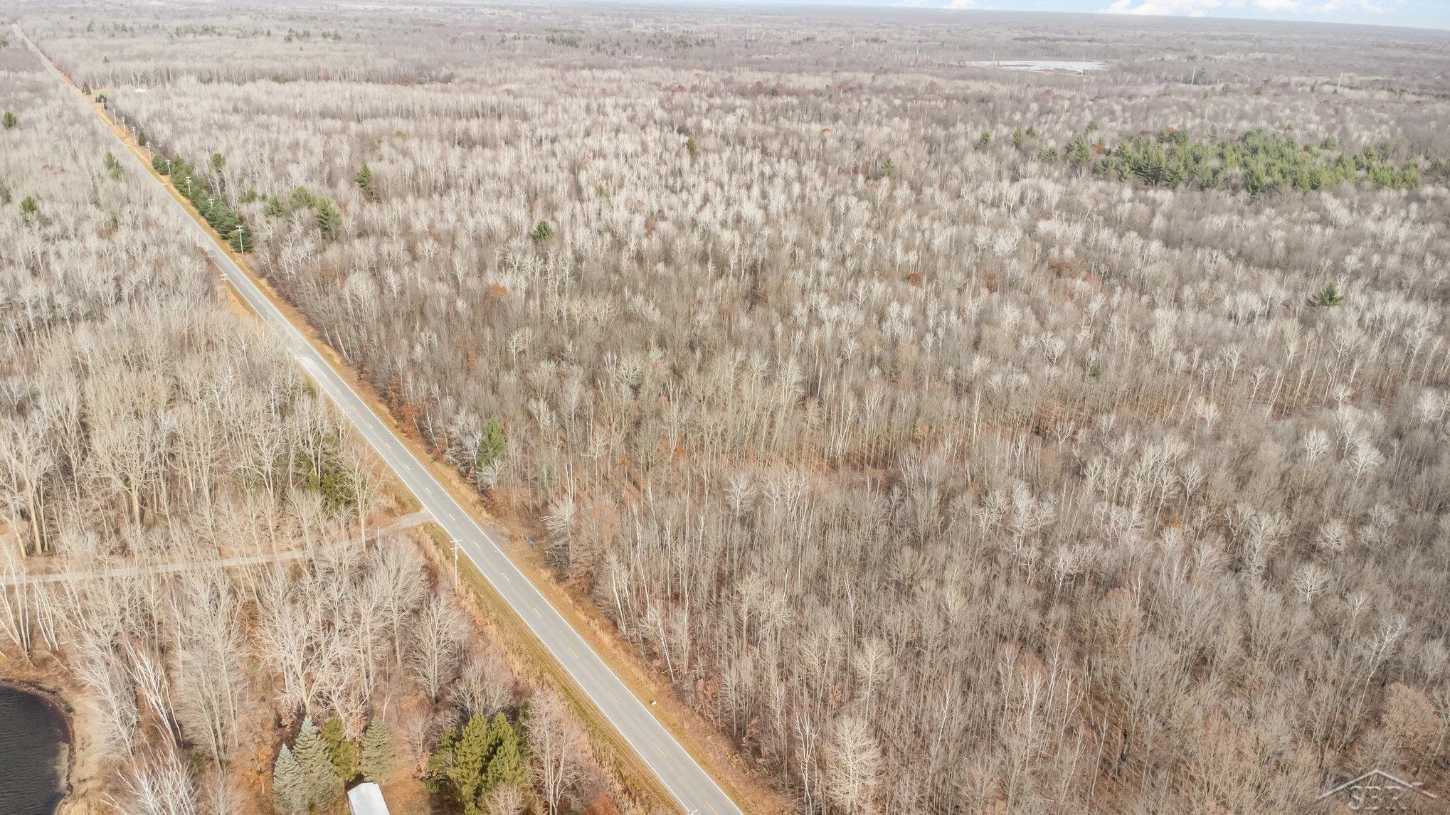 South E County Line Road Shepherd, MI 48883 - Photo 16 of 19