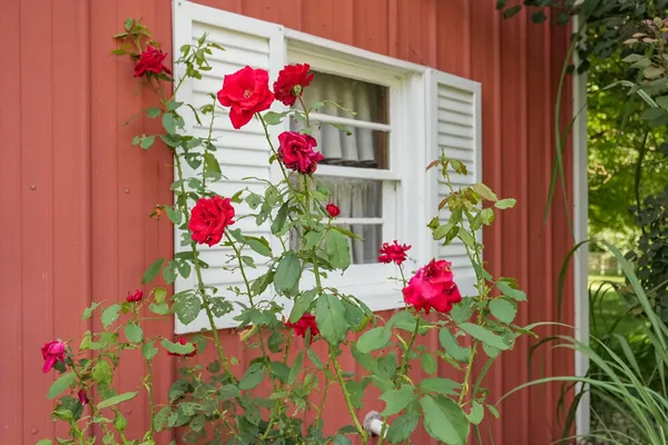 $650,000 | 1810 East Mill Street, Hastings, MI 49058