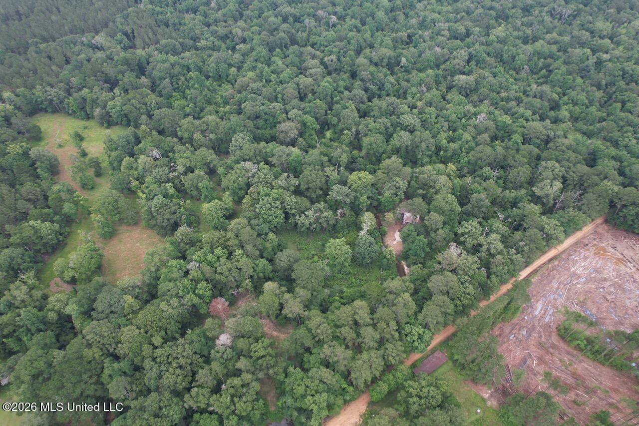 6642 Grange Hall Road Osyka, MS 39657 - Photo 45 of 50 DJI_0132 Large