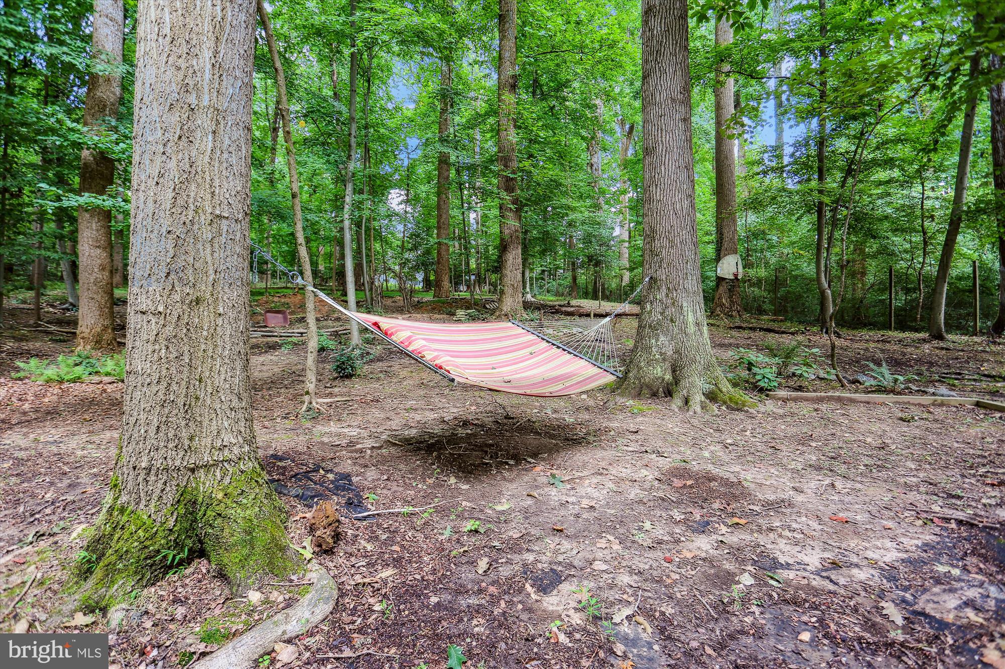 12211 Brookhaven Drive Silver Spring, MD 20902 - Photo 48 of 54 1.15 Acres of Wooded Grounds