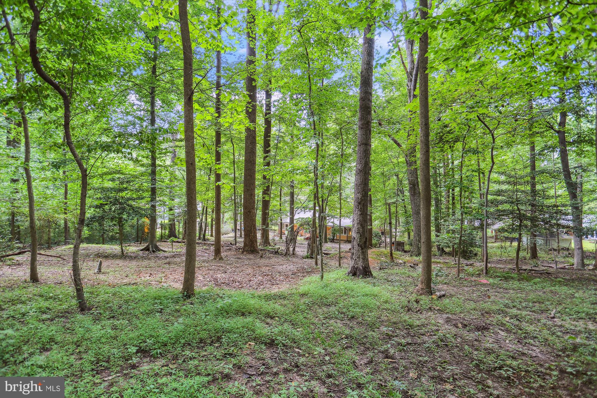12211 Brookhaven Drive Silver Spring, MD 20902 - Photo 51 of 54 Stunning Wooded Views