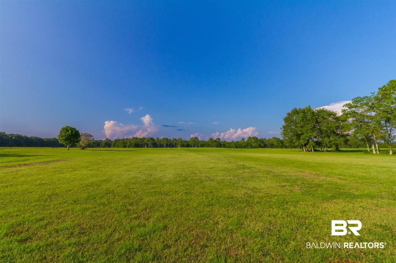 0 Carver Road Foley, AL 36535 - Photo 1 of 15