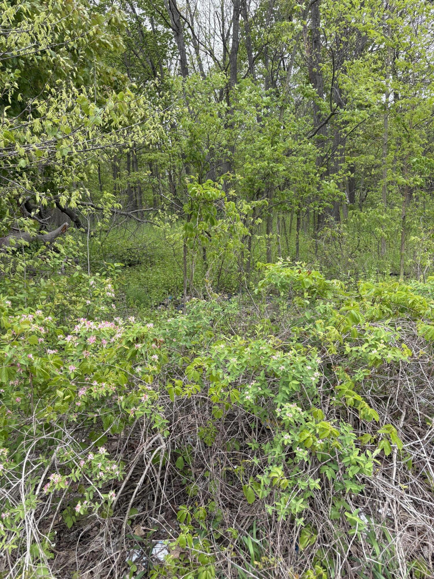 West Territorial Road Battle Creek, MI 49015 - Photo 4 of 5 woodrow