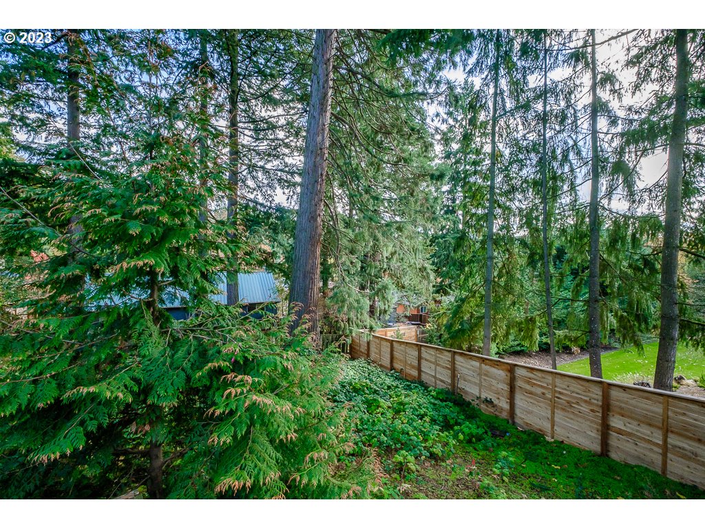 a view of a yard with a tree
