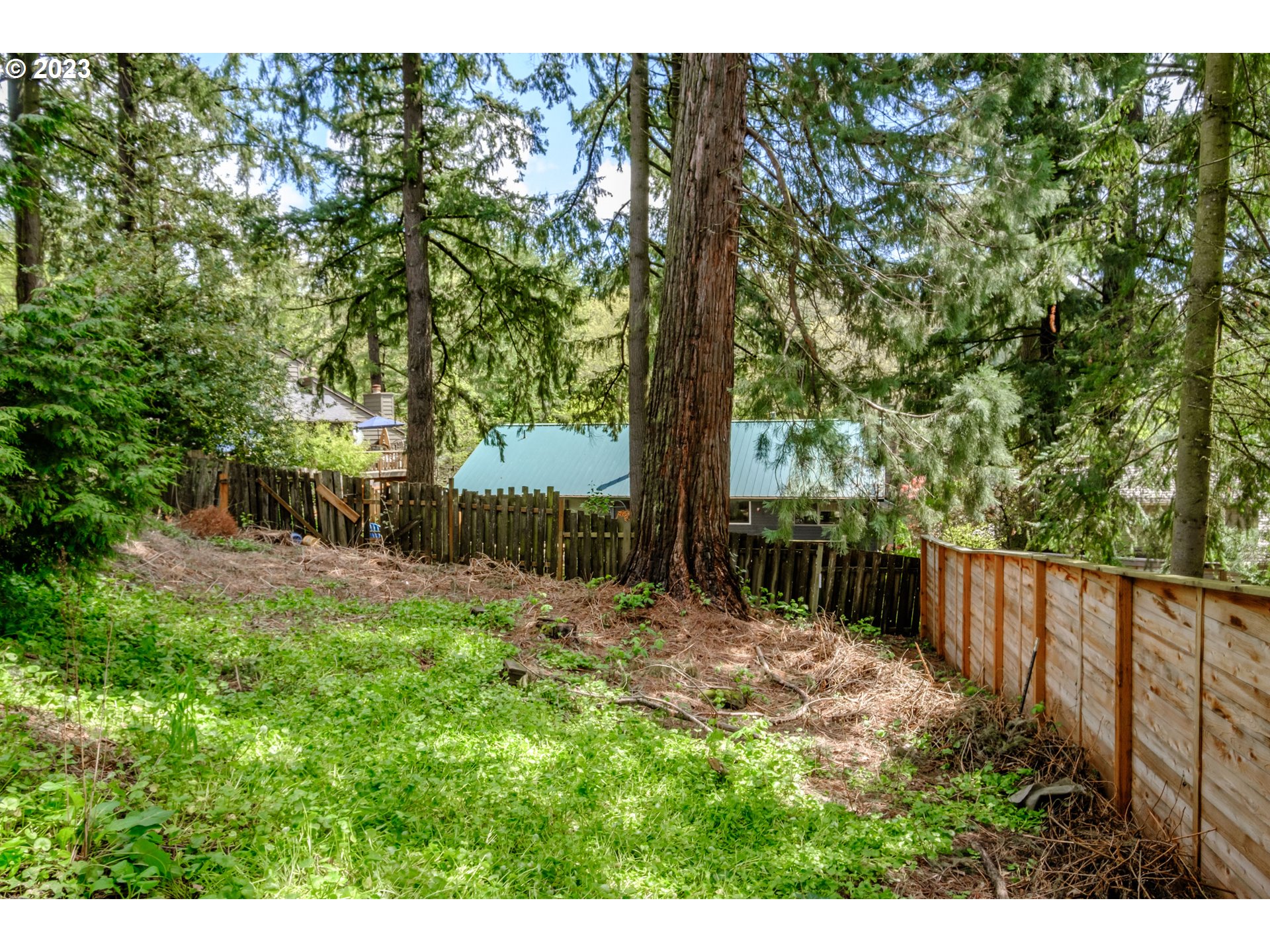 10200 Southwest 61st Avenue, Unit P2 Portland, OR 97219 - Photo 2 of 12 a view of backyard with tree
