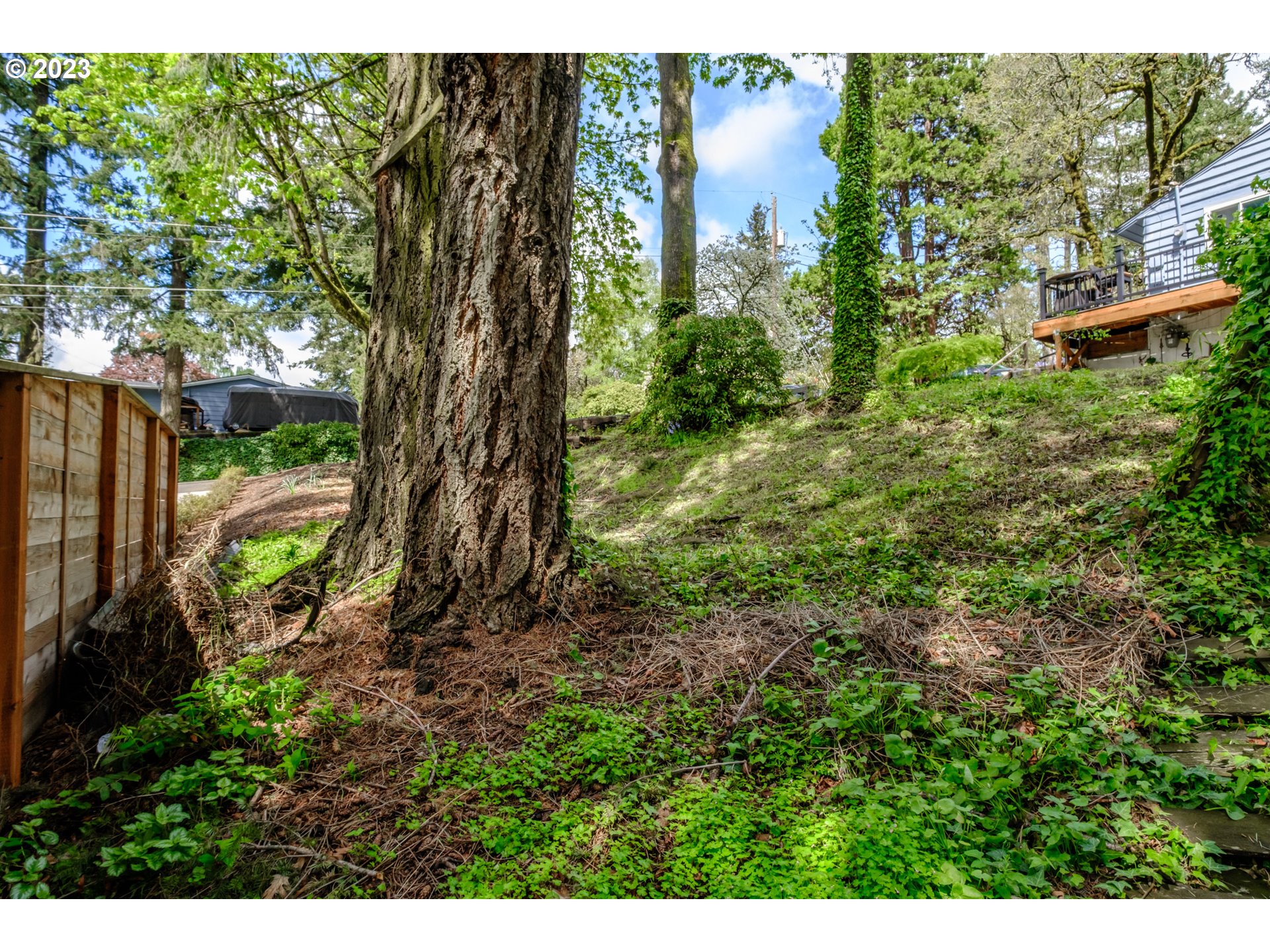 10200 Southwest 61st Avenue, Unit P2 Portland, OR 97219 - Photo 3 of 12 a view of a backyard