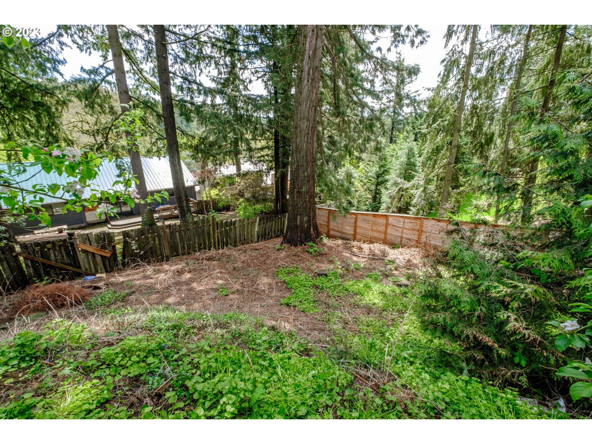 10200 Southwest 61st Avenue, Unit P2 Portland, OR 97219 - Photo 6 of 12 a backyard of a house with lots of green space