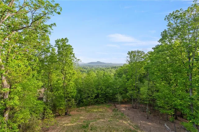 a view of a back yard