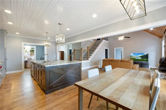 a view of a forest with trees in the background