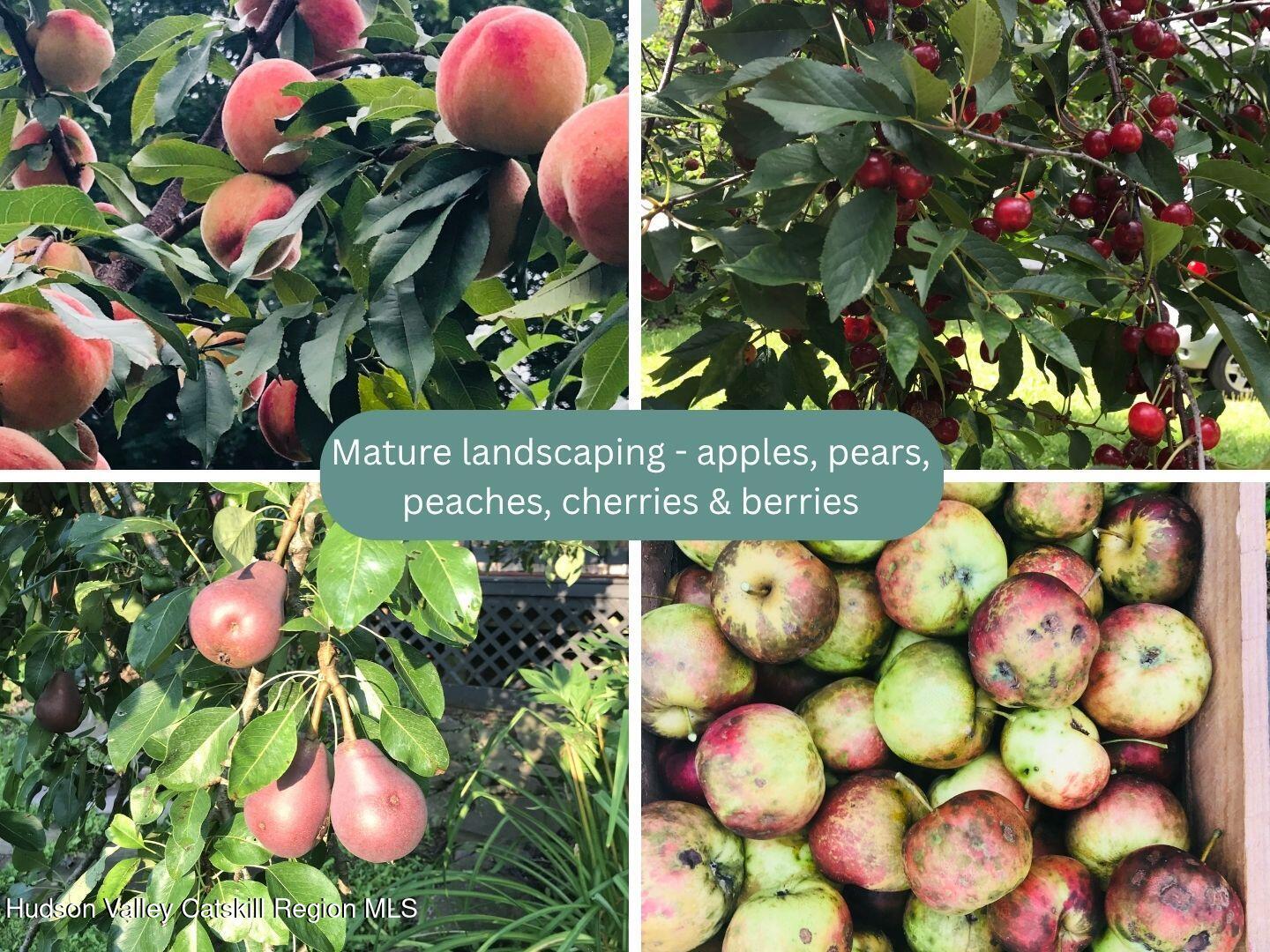 390-406 Halcottsville Road Halcottsville, NY 12438 - Photo 35 of 66 36