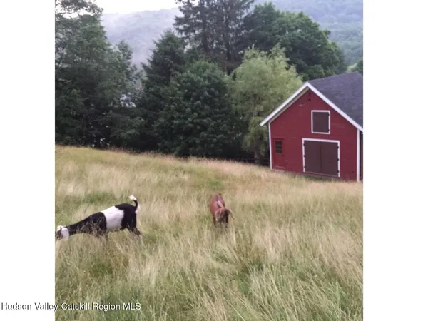 $699,000 | 390-406 Halcottsville Road, Halcottsville, NY 12438
