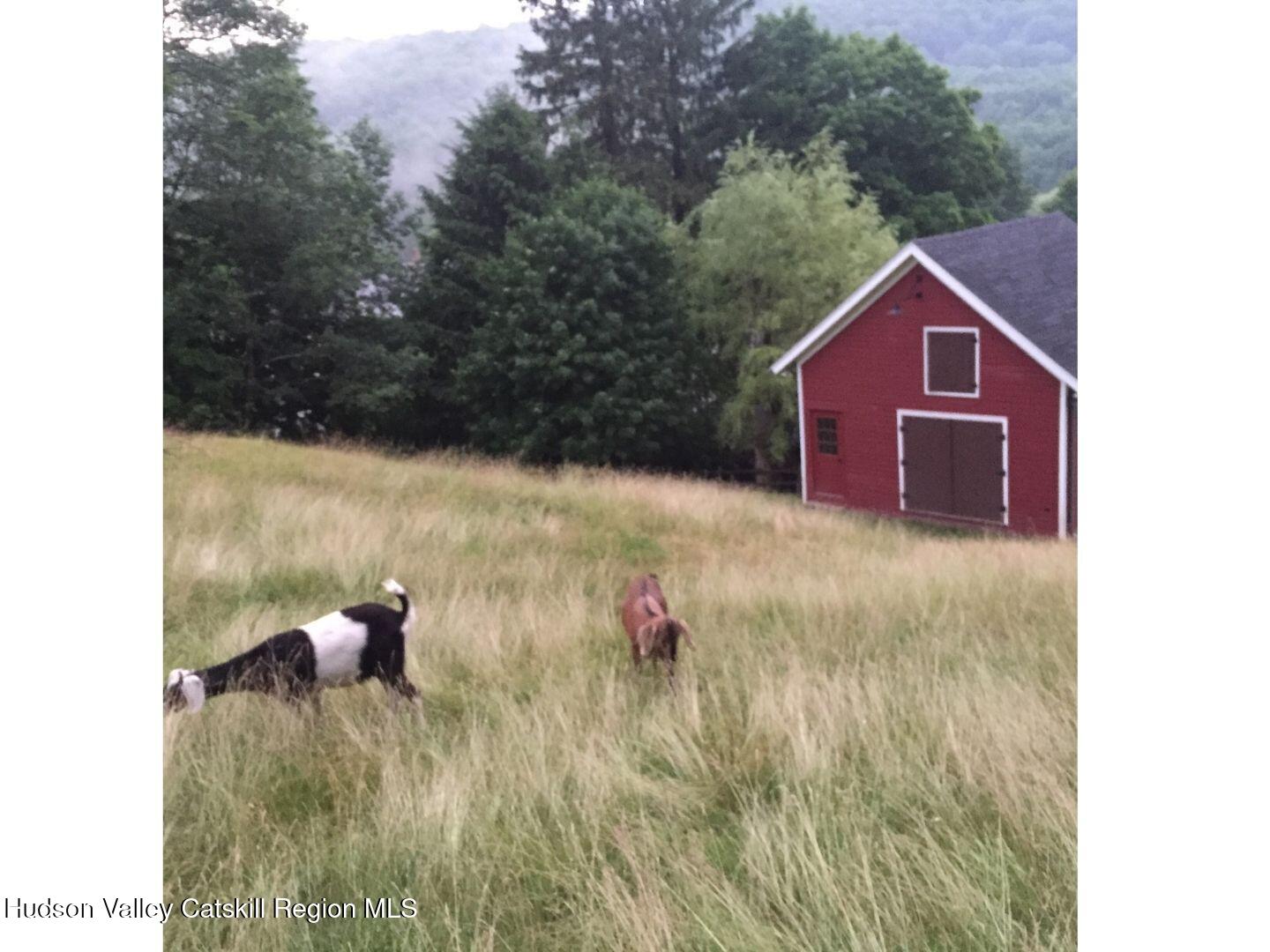 390-406 Halcottsville Road Halcottsville, NY 12438 - Photo 53 of 66 54