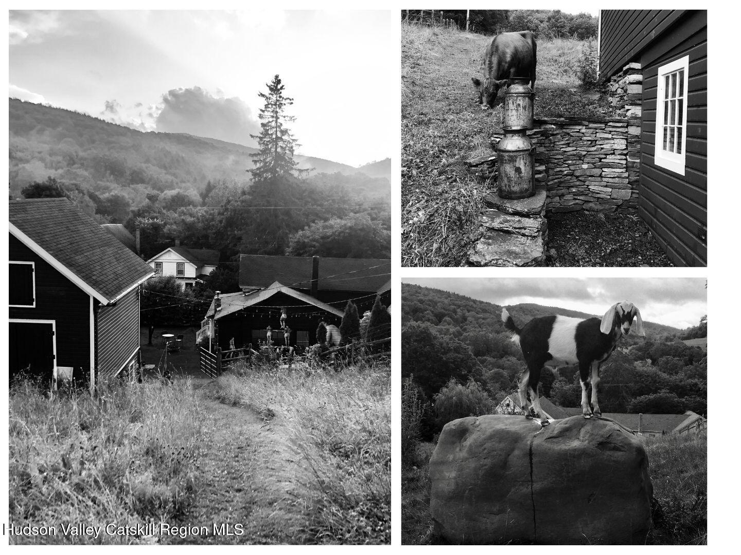 390-406 Halcottsville Road Halcottsville, NY 12438 - Photo 56 of 66 57