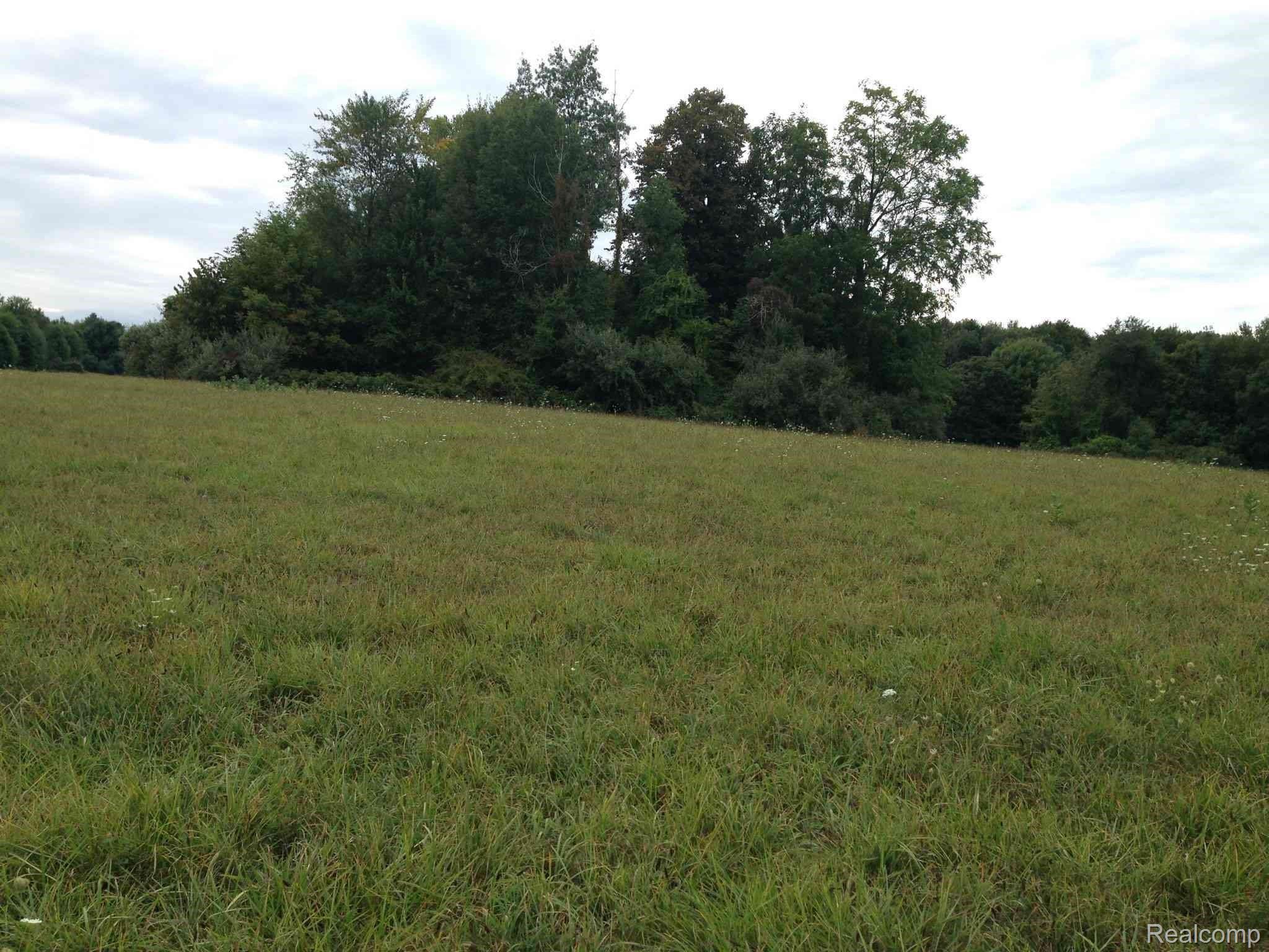 3234 Phillips Road Kingston, MI 48741 - Photo 16 of 17 property.jpeg