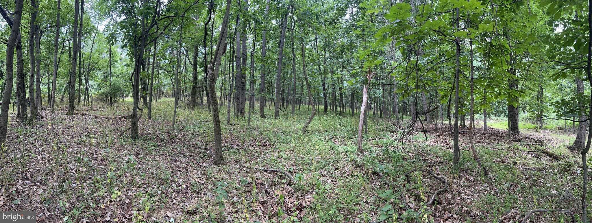 0 Starview Road Mount Wolf, PA 17347 - Photo 4 of 10 Gallery Image 4