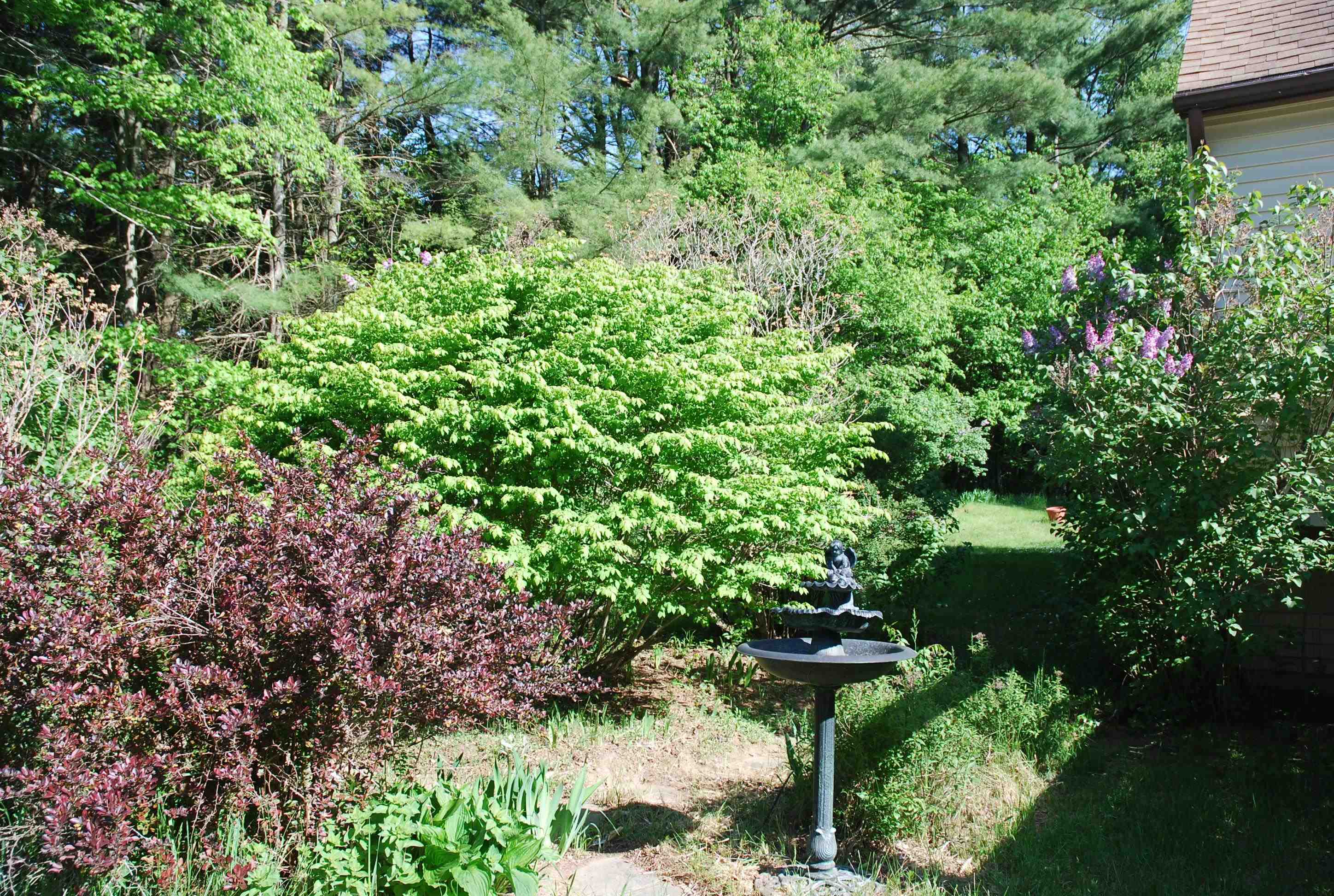 142 Bayview Road Georgia, VT 05454 - Photo 29 of 40 Gallery Image 29