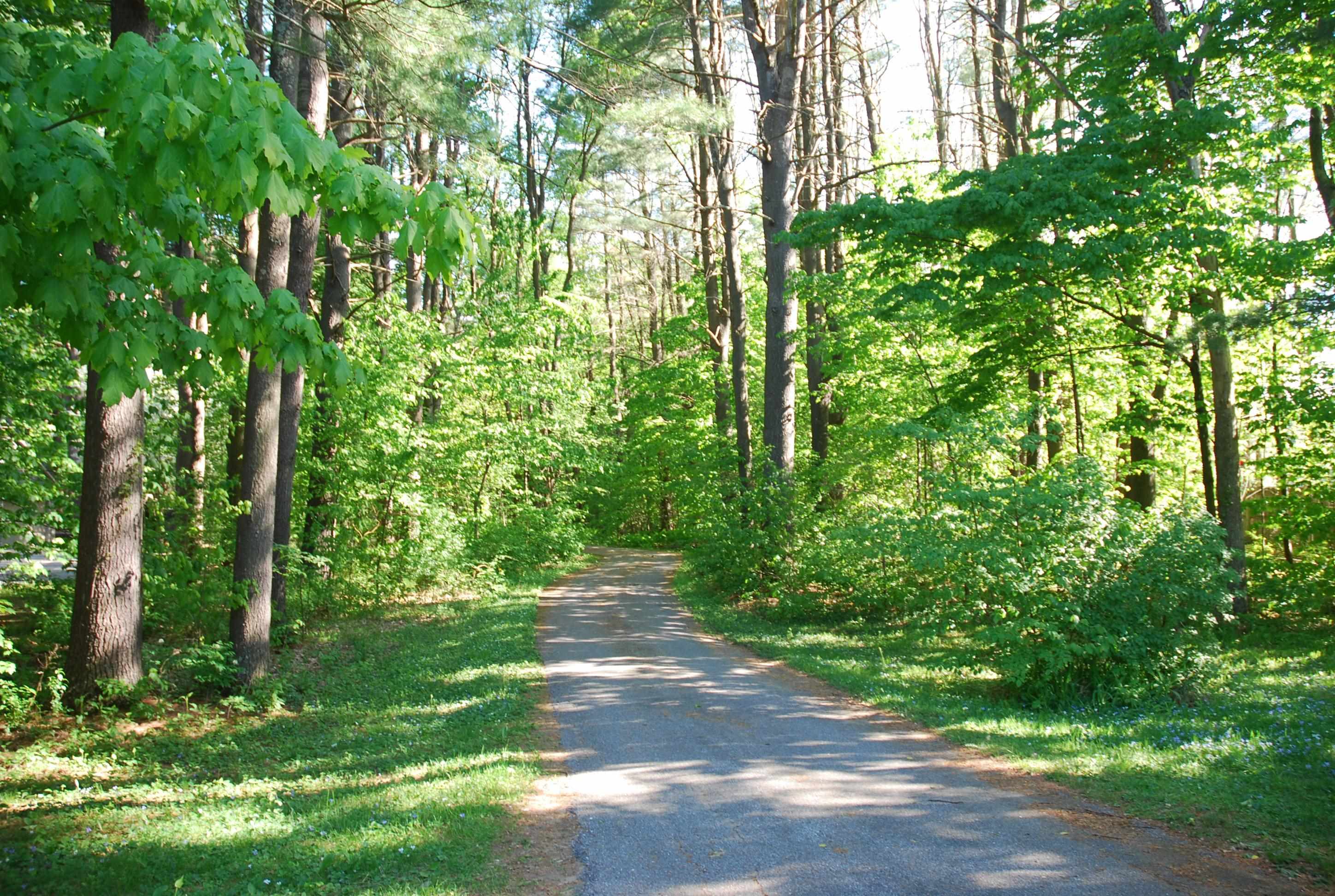 142 Bayview Road Georgia, VT 05454 - Photo 10 of 40 Gallery Image 10