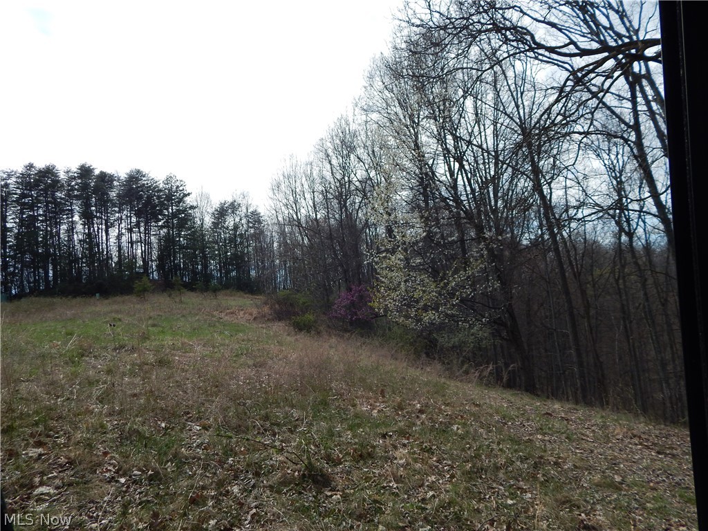 617 Taylor Summers Road Smithville, WV 26178 - Photo 6 of 34 Gallery Image 6