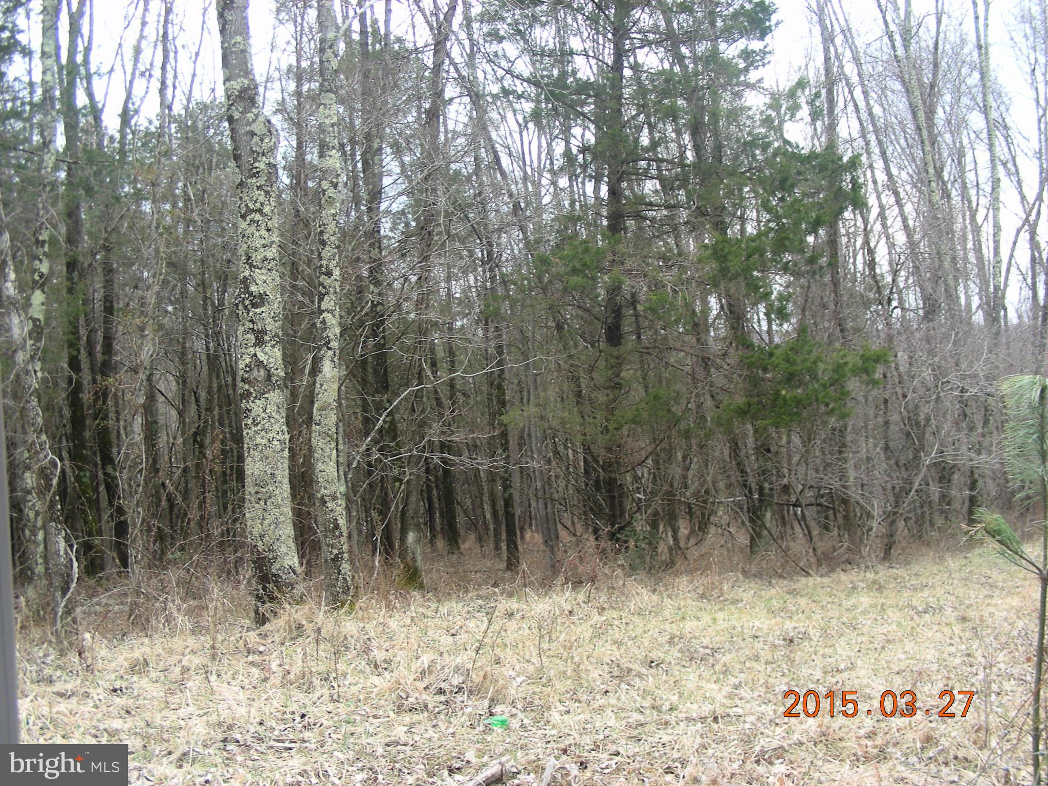 Old Bust Head Road Broad Run, VA 20137 - Photo 1 of 1 Exterior (General)