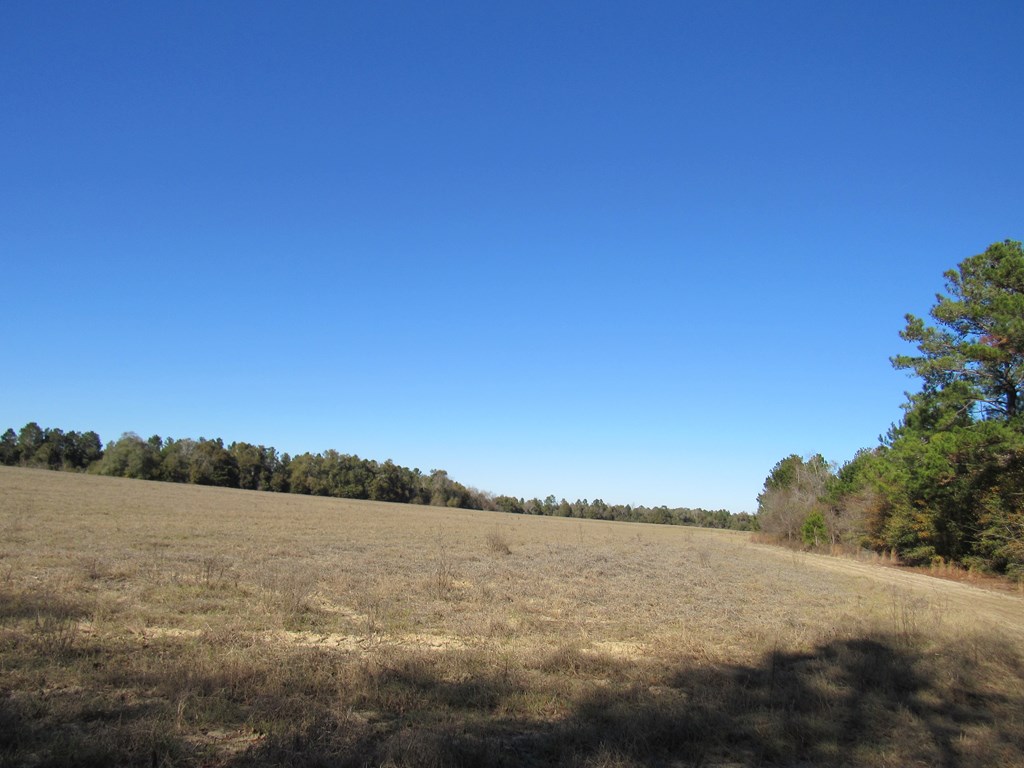 0 County Road 177 Abbeville, AL 36310 - Photo 4 of 7