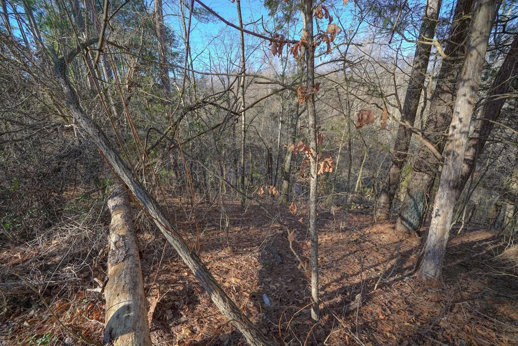 0 South New Era Road Sevierville, TN 37862 - Photo 3 of 10 Gallery Image 3