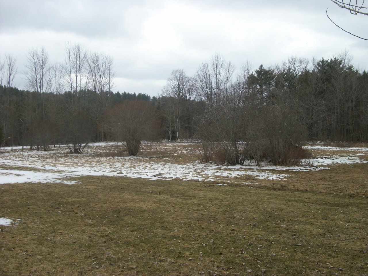 47 Meadow Road Goshen, NH 03752 - Photo 29 of 31