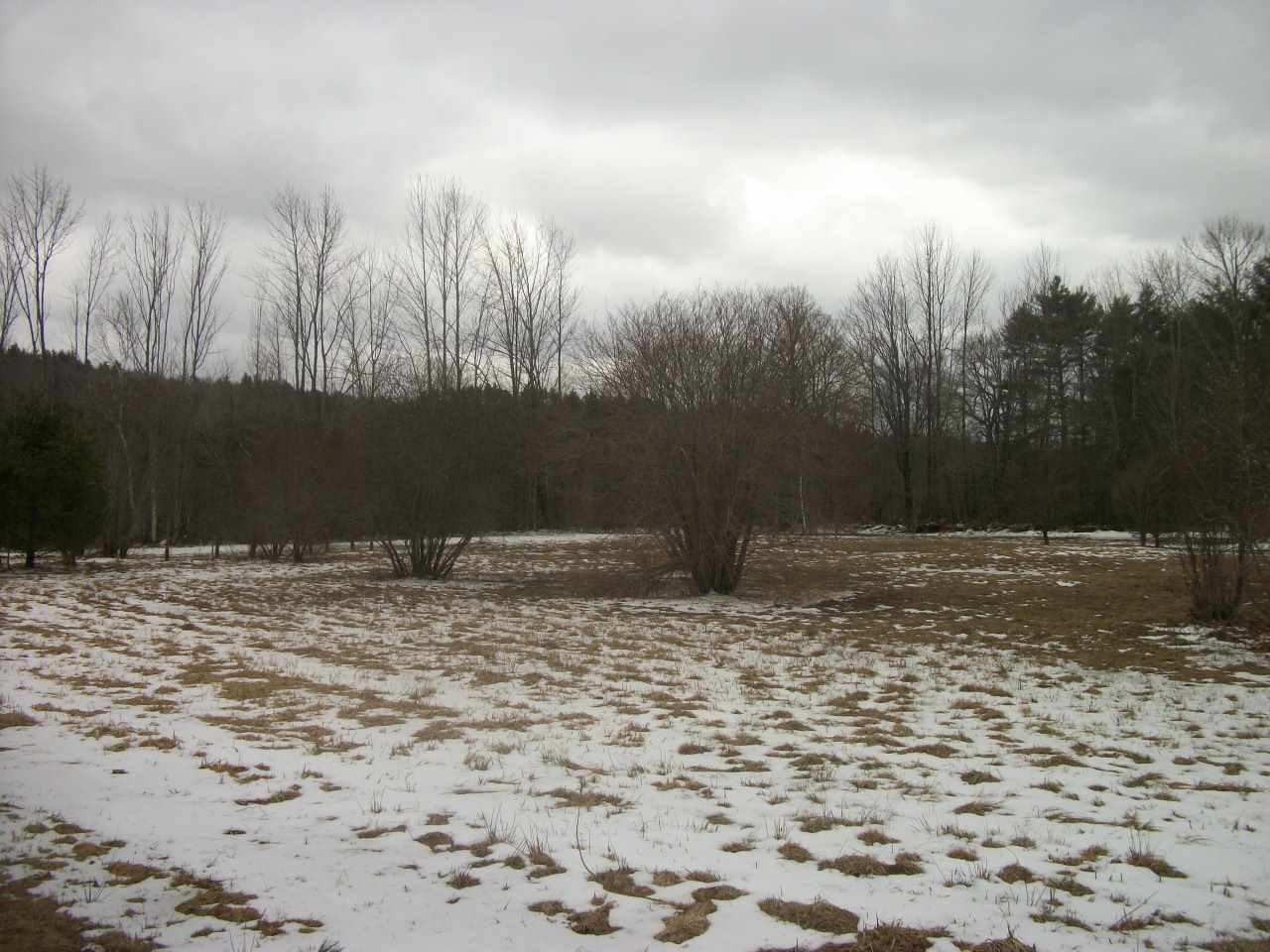 47 Meadow Road Goshen, NH 03752 - Photo 30 of 31