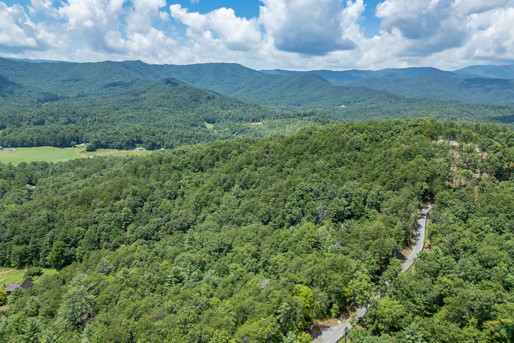 1450 Ritchie Creek Road Blue Ridge, GA 30513 - Photo 51 of 57 Gallery Image 51