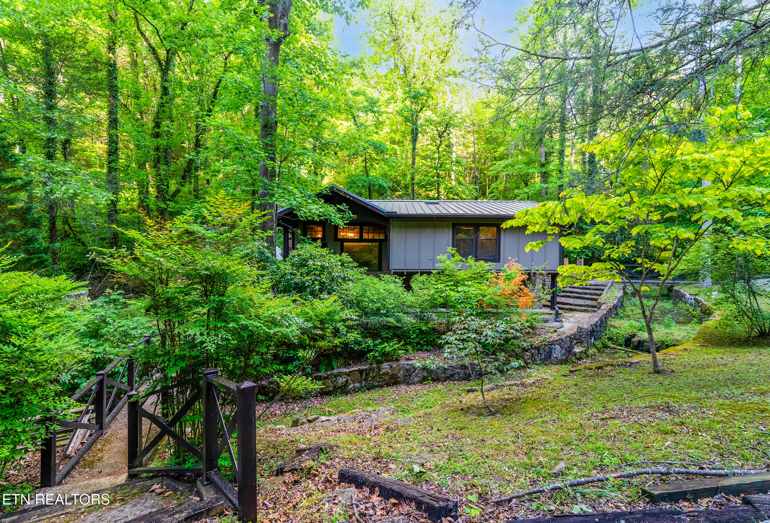 259 Black Mash Hollow Road Townsend, TN 37882 - Photo 2 of 42 IMG_2841