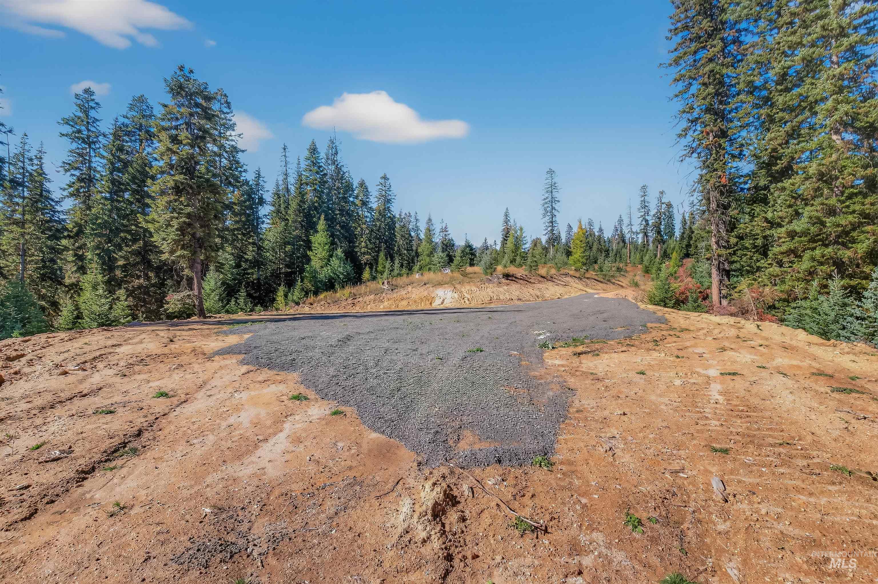 5 Tree Farm Trails Road Elk City, ID 83525 - Photo 6 of 13 View of yard