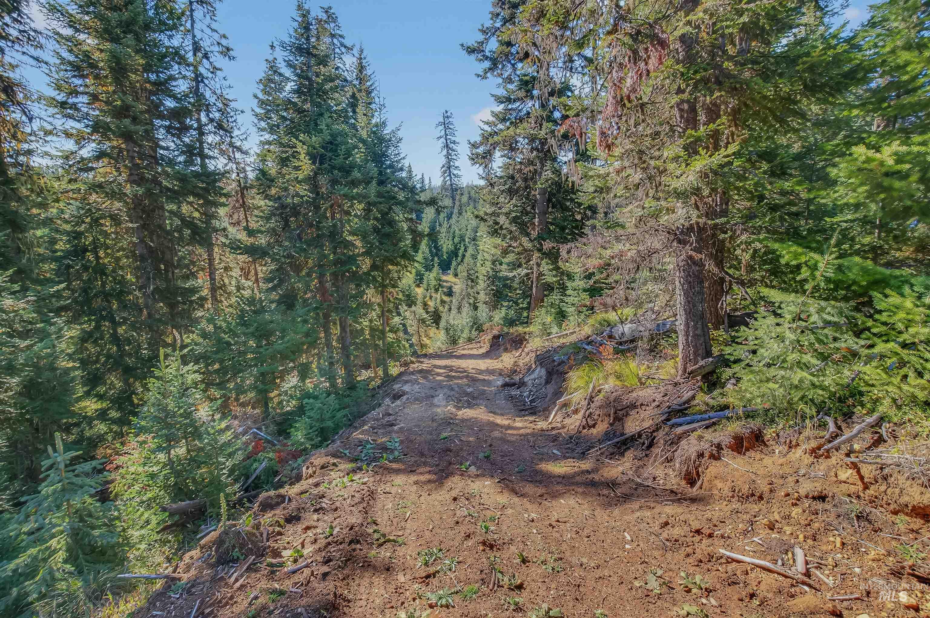 5 Tree Farm Trails Road Elk City, ID 83525 - Photo 7 of 13 View of tree filled area