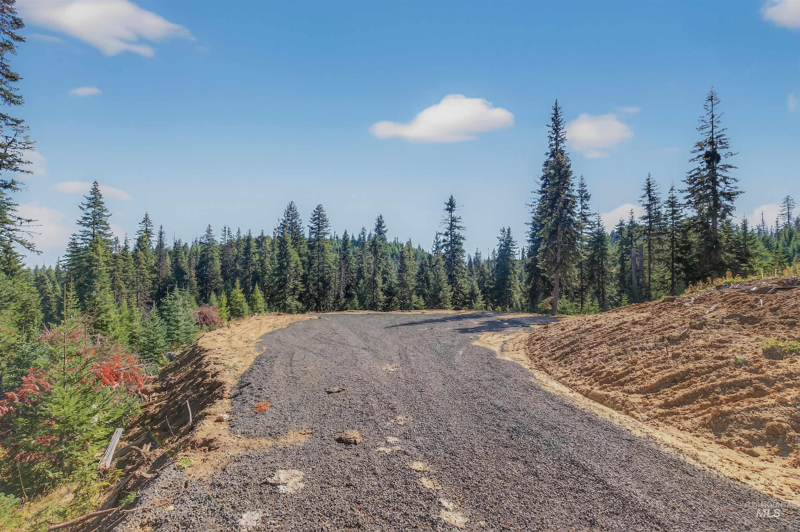 5 Tree Farm Trails Road Elk City, ID 83525 - Photo 9 of 13 View of dirt / gravel road with a wooded view