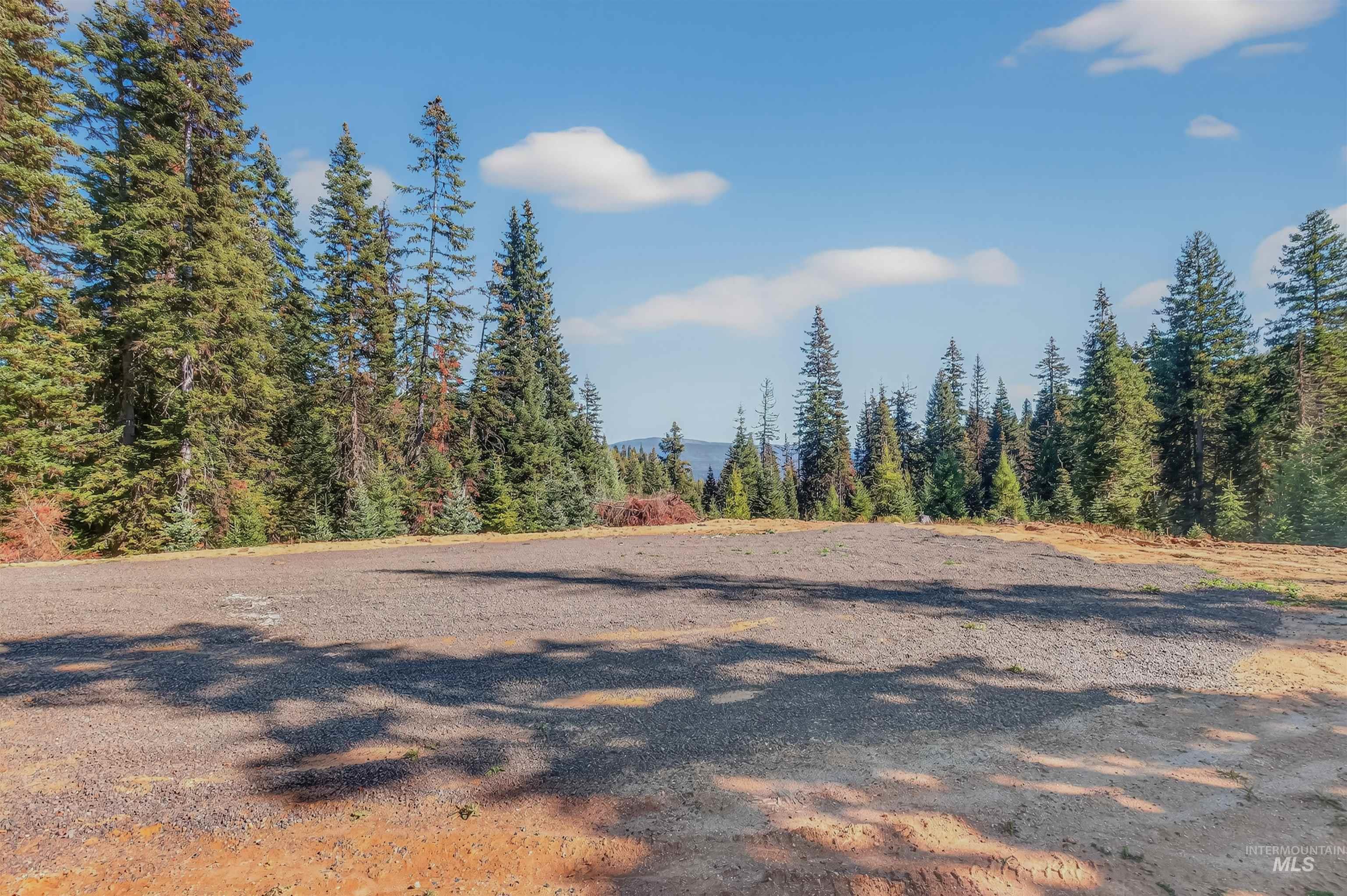 5 Tree Farm Trails Road Elk City, ID 83525 - Photo 10 of 13 View of woods